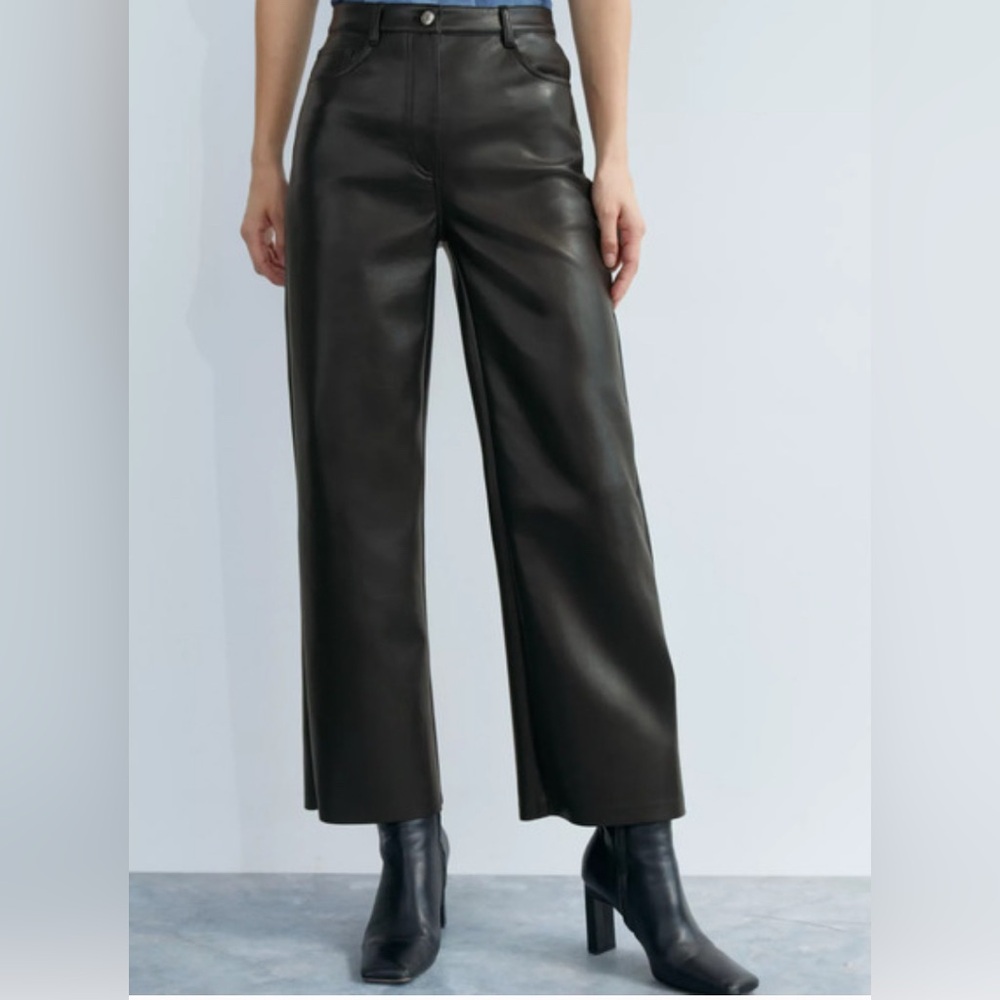 Wilfred (Aritzia) Wide Leg Leather Pants